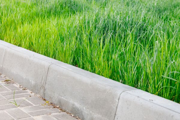 Cost of Concrete Curb Repair in Lafayette