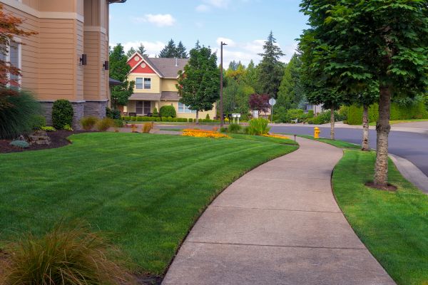 Cost of Sidewalk Patching in Lafayette